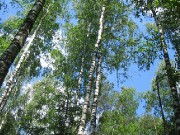 Места проведения экспедиции