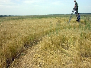 июнь 2004, Знаменский.