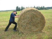 После неудачных раскопок можно было дать выход эмоциям