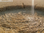 2013, Краснодарский край, Тимашевск