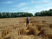 2013, Краснодарский край, Тимашевск