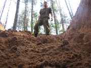 Вид из ямы, наверное так нас видел огненный змей, лежащий там уже много лет...