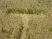 июнь 2004, Знаменский.