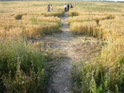 июнь 2004, Знаменский.
