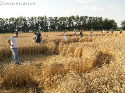 2013, Краснодарский край, Тимашевск