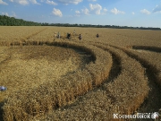 2013, Краснодарский край, Тимашевск