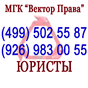 Юристы.