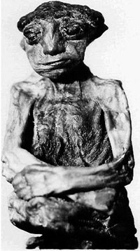 sanpedromummy.jpg