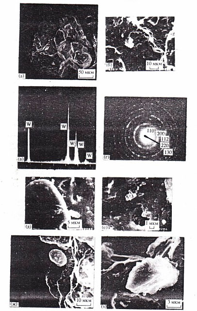 Самородный вольфрам. Самородный вольфрам.